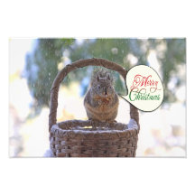 Écureuil dans la neige indiquant le Joyeux Noël Art Photographique