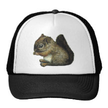écureuil de bébé casquette