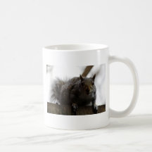 Écureuil de gris oriental tasse à café