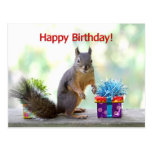Écureuil de joyeux anniversaire carte postale