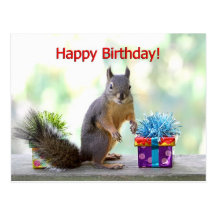Écureuil de joyeux anniversaire carte postale
