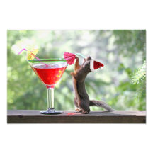 Écureuil de Noël buvant un cocktail Impressions Photographiques