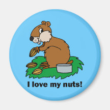 Écureuil drôle magnets