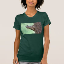 Écureuil sur un arbre t-shirts