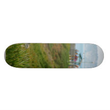 Écureuils à la crique de La Jolla Plateaux De Skate