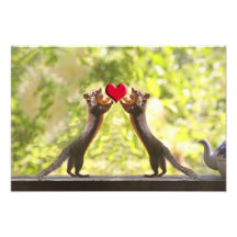 Écureuils avec le coeur photographe