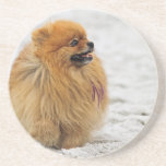 Edgrrrr #3 - Pomeranian Dessous De Verre