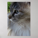 Een andere Blik Print