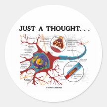 Een enkel Gedachte… (Neuron/Synaps) Stickers