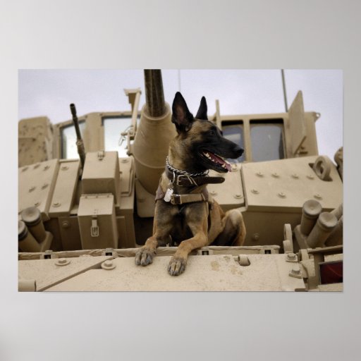 Een militaire werkende hond zit op een Leger van d Print