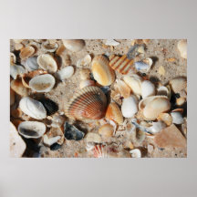 Één vierkante voet shells posters