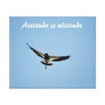 Een vogel van de Plevier met houding Canvas Print