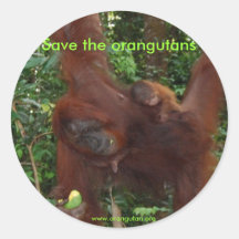 Één-week-oud orangoetanbaby ronde sticker