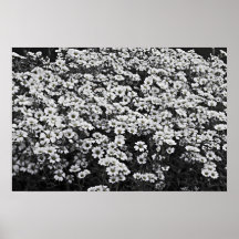 Een wenk van Geel Print
