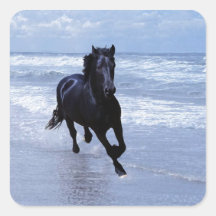 Een wild en vrij paard sticker