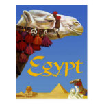 Egypte Wens Kaart