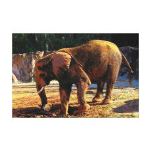 Éléphant 1Design Impression Sur Toile