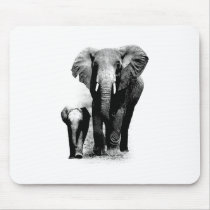 Éléphant de BW et éléphant de bébé