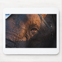 éléphant tapis de souris