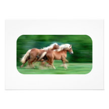 Emballage des invitations de palomino