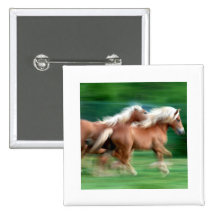 Emballage du bouton carré de chevaux de palomino badges