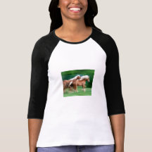 Emballage du T-shirt de base-ball de chevaux de pa