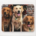 Emballeur Bella Darby #50 de golden retriever de N Tapis De Souris