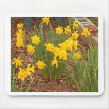 Émeute de la trompette Daffodils1-2 Tapis De Souris
