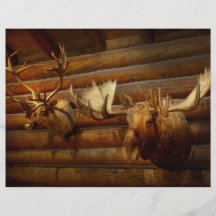 Empaillage - le pavillon de chasse prospectus avec motif