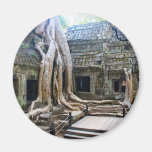 EMPLACEMENT DE PETITE FERME DE LARA CHEZ ANGKOR VA AIMANTS