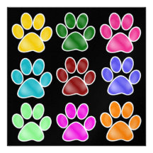 Empreintes de pattes - SRF Bristol