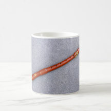 Enregistreur Tasses