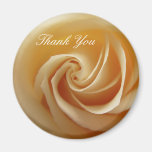 Épouser le magnet rose de Merci Magnets