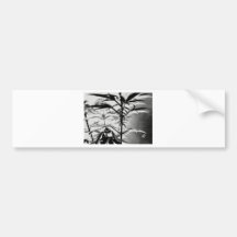 erva adesivos