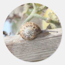 Escargot Autocollant Rond