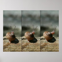 Escargot de ne Tenney de Pitts Affiche