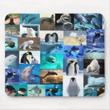 Espèce marine tapis de souris