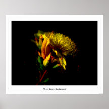 Étamine de fleur (luminescente) affiche