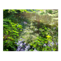 Étang enchanté de réflexion carte postale