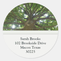 Étiquettes de adresse d'arbre adhésifs ronds