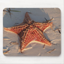 Étoile de mer tapis de souris