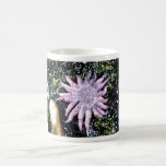 Étoiles de mer de tournesol tasse à café