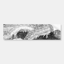 Étoiles de mer noires et blanches adhésif pour voiture