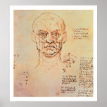 Études des proportions du visage et de l'oeil, 14 poster