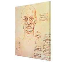 Études des proportions du visage et de l'oeil, 14 toile tendue
