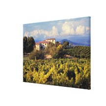 Europa, Frankrijk, Bonnieux. De wijngaarden behand Gallerij Wrapped Canvas
