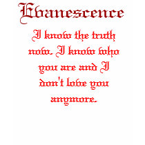 Évanescence, T-shirt