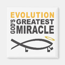 Evolutie Magneet