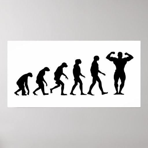 Évolution du culturisme posters