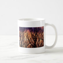 Examination la lumière de forêt tasse